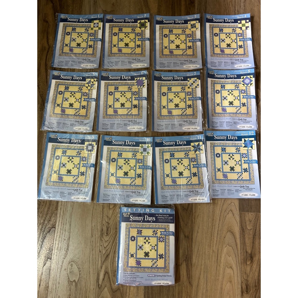 Quilt Blocks Sunny Days Block of the Month Complete 1-12 Set plus Setting Kit